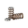 Spring set Kelford Cams for Toyota 1GR-FE-1