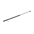 Racingline Hood Gas Strut for Volkswagen VW Golf MK8 -1