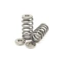 Spring set Beehive and titanium retainers Kelford Cams for Toyota BMW B48-1