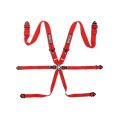 Sparco BRN0054B0.R Competition H-3 6 Point Harness FIA Approved 8853-2016 Red-1