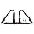 DriftShop 4 Point Harness 2