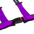 DriftShop 4 Point Harness 2