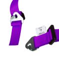 DriftShop 4 Point Harness 2
