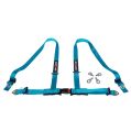 DriftShop 4 Point Harness 2