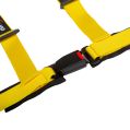 DriftShop 4 Point Harness 2