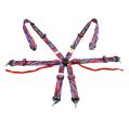 DriftShop 6 Point Harness Multi Colour FIA Approved 8853-1