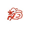 Coolant Hoses Forge Motorsport FMKC010.R for Audi TT MK2 8J 2.0 TFSi 2006 Red-1