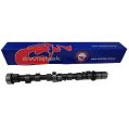 Tuning Camshaft Swiatek for Polonez 1.5 - 1.6 8v Stage GT-1