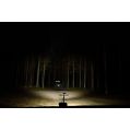 LED Worklight Purelux Panther Alpha 30 15cm 30W 5000K Wide Beam-3