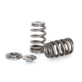 Spring set Beehive and titanium retainers Kelford Cams for Honda K seria-1