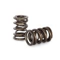Dual Spring set Kelford Cams for Honda H22A-1