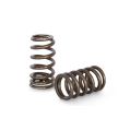 Spring set Beehive Kelford Cams for Mazda L3 2.3 DISI-1