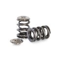 Dual Spring set and titanium retainers Kelford Cams for Honda B16A B18C-1