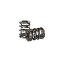 Dual Spring set Kelford Cams for Honda B16A B18C-1
