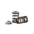 Spring set and retainers Kelford Cams for Ford 2.0l-1