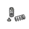 Spring set Beehive and titanium retainers Kelford Cams for Rotax 900 ACE-1