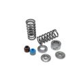 Spring set and titanium retainers Kelford Cams for Honda L15B7-1