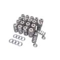 Spring Set Kelford Cams for Audi RS3-1