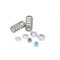 Spring set Beehive and titanium retainers Kelford Cams for Honda K20C1-1