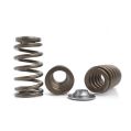 Spring set Beehive and titanium retainers Kelford Cams for Ford Barra BA FG Falcon-1