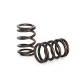 Spring set Kelford Cams for Formula Ford 105E-116E-1