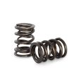 Dual Spring set Kelford Cams for Ford Nissan Toyota-1