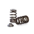 Spring set Beehive and titanium retainers Kelford Cams for Ford 2000 OHC 2.0L-1