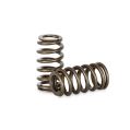 Spring set Beehive Kelford Cams for Ford Duratec 2.0L-1
