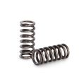 Spring set Kelford Cams for Toyota 4AGE 20V-1