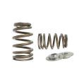 Spring set Beehive and titanium retainers Kelford Cams for Honda K/F K20A2-1