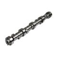 Camshafts Kelford Cams for Chevy LS V8 230/236-1