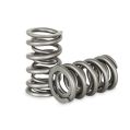 Dual Spring set Kelford Cams for Chevy LS1-1