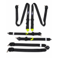 Racing Harness FMIC.Pro FIA 2031 8853-2016 6-Point 2