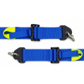 Racing Harness FMIC.Pro FIA 2031 8853-2016 6-Point 2