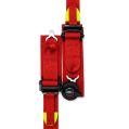 Racing Harness Formula FMIC.Pro FIA 2031 8853-2016 6-Point 2