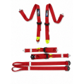 Racing Harness Formula FMIC.Pro FIA 2031 8853-2016 6-Point 2