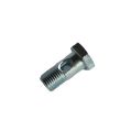 Hollow screw water supply line turbocharger to Cylinder Head 15194AA100 for Subaru-1