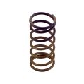 Wastegate spring Turbosmart WG60 Gen V 5PSI-1