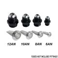 12 AN Filter Insert Nitrous Express NX SNF-20143-1