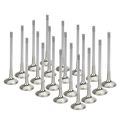 Exhaust Valves Inconel SuperTech for BMW S85 V10-1