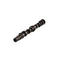 Tuning Exhaust Camshaft Swiatek for VW Polo GT 1.6 16v-2