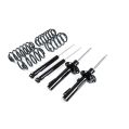 RacingLine Sport Spring Damper Kit A5-Platform AWD for VW Golf 6R S3 8P 55mm strut-1