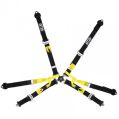 GT2I Pro Single Seater Harness 6-Point Black FIA Approved 8853-2016-1