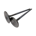 Exhaust valves BC Brian Crower BC3253 Nissan TB48 -1
