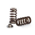 Spring set Beehive and titanium retainers Kelford Cams for Toyota 2JZ-GTE-1