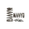 Spring set Beehive and titanium retainers Kelford Cams for Toyota 3RZ-FE-1