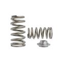 Spring set Beehive and titanium retainers Kelford Cams for Nissan RB26-1