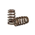 Spring set Beehive Kelford Cams for Holden ECOTEC-1
