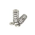 Spring set Beehive and titanium retainers Kelford Cams for Toyota MK5 Supra-1