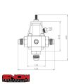 Fuel Pressure Regulator Snow Performance SNF-11000-3